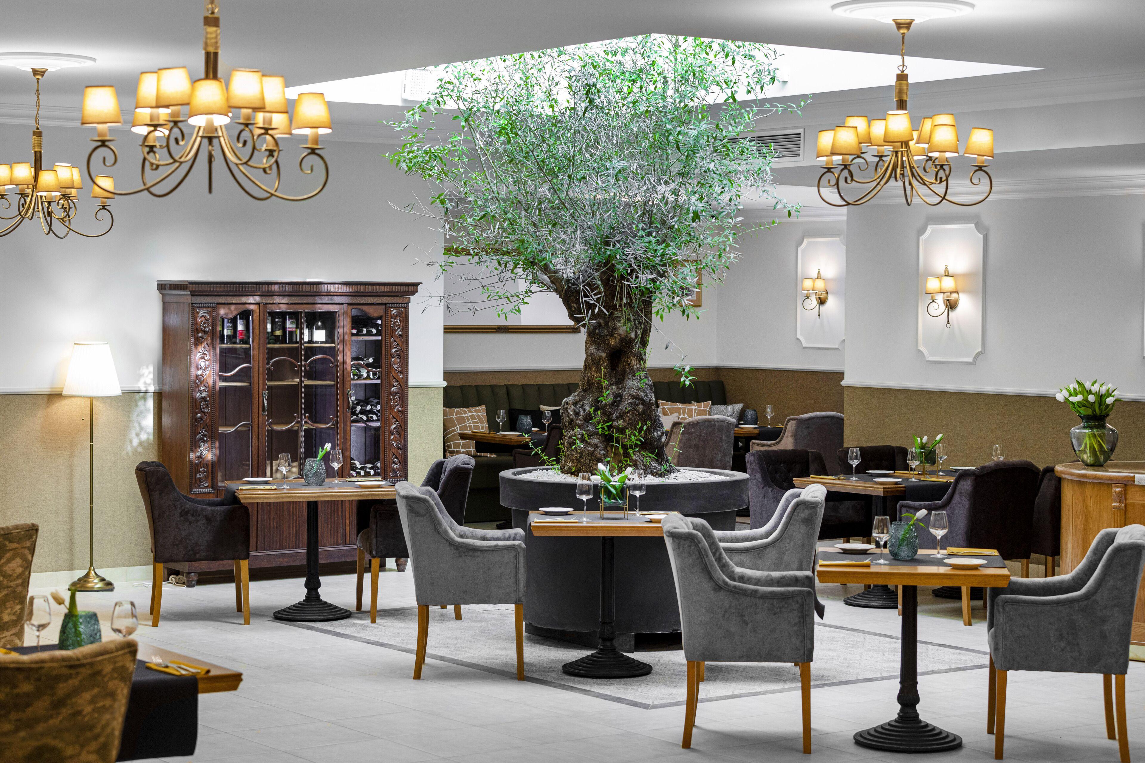 Ventus Rosa Boutique Aparthotel — Zdjęcia 1